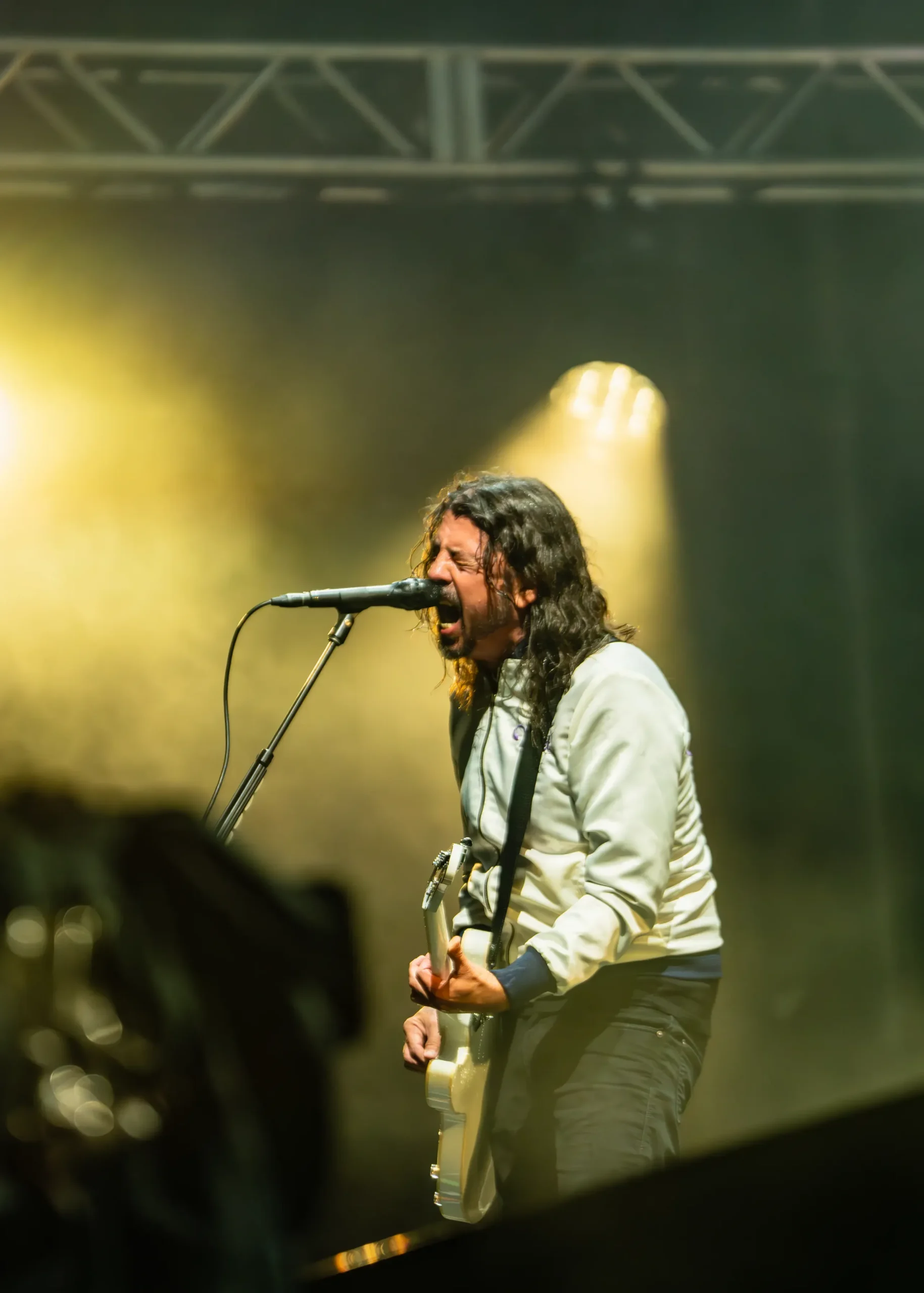 Dave Grohl of Foo Fighters singing and playing guitar at Wildlands in 2023.
