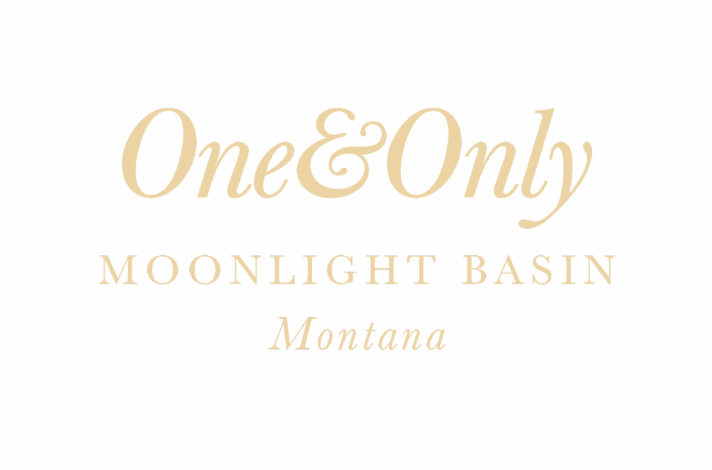 One & Only Logo