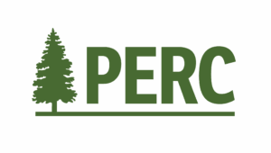 perc logo green with the letter PERC